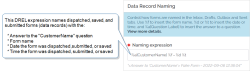 Data Record Naming section, Naming expression field that shows the DREL expression %a[CustomerName] %f - %d %t. This names dispatched, saved, and submitted forms with the answer to the "CustomerName" question, along with the form name, date, and time that the form was dispatched, submitted, or saved.